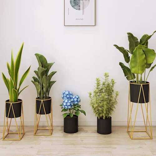轻奢绿萝植物落地式子花盆架室内盆栽赵客厅铁艺花架家用盆景