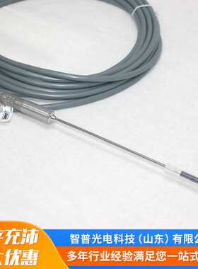 山东新华灭菌柜温度探头 JUMO久茂铂热电阻双芯XH-PT1-212120-150