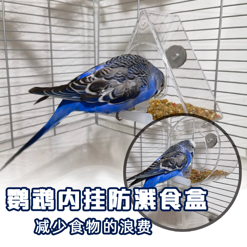 小型鹦鹉用品虎皮牡丹玄凤内挂自动喂水喂食器下料器食盒防撒防溅