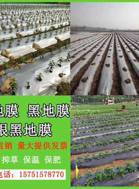农用黑色白色银黑色地膜除草防虫塑料薄膜果园蔬菜大棚西瓜草莓用
