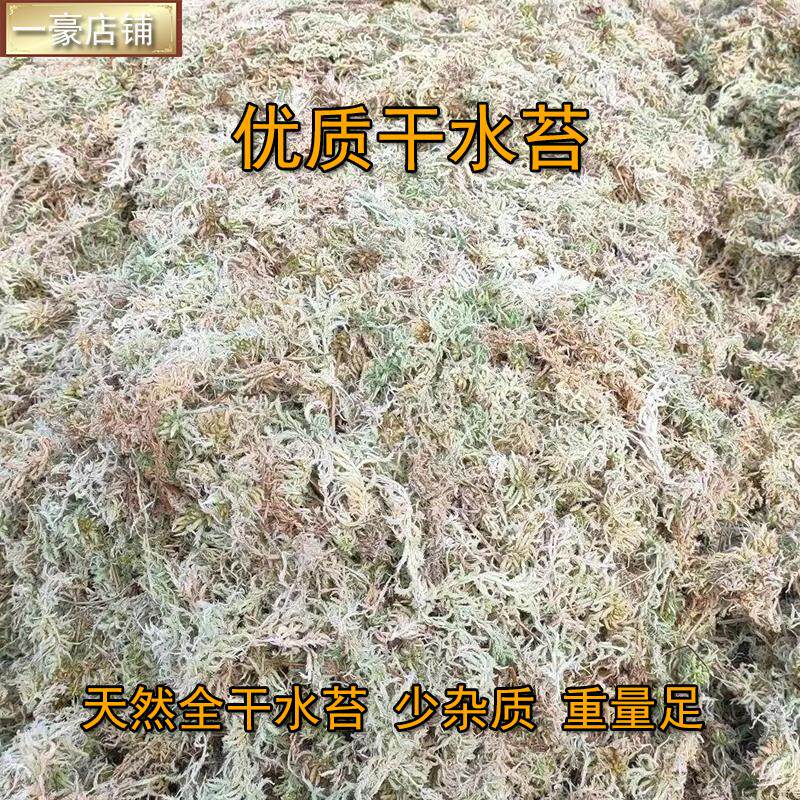 蝴蝶兰花专用优质水苔藓盆景换盆无土栽培保湿疏松透气蛇仓鼠垫料