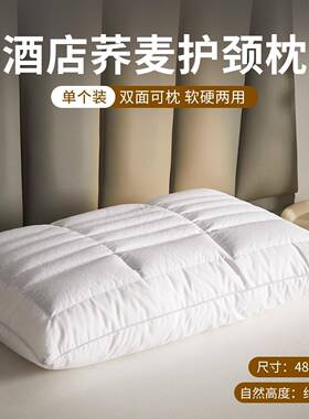酒店双面荞麦助枕护颈椎睡眠枕头人成家用IMV一对荞皮麦壳枕芯硬