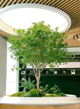 高端马醉木仿真物橱窗造景tb-71280室内装饰仿生植绿大树型假树植