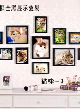 宠物店装饰画猫YJR狗画个小狗挂猫咪照片墙壁画墙合画组相框性相