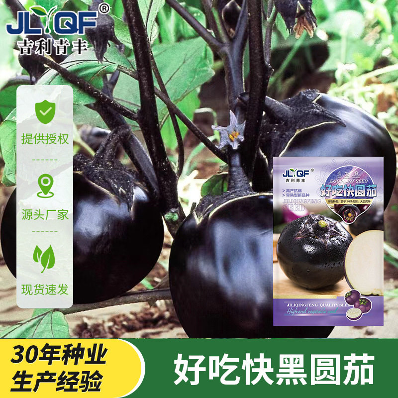 茄子四季高产端各种瓜果蔬菜种子组合装官方旗舰店农科院老品种图片
