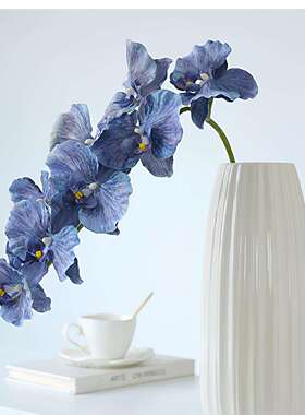 ·若你·简约家居软装客厅插花器陶瓷现代花瓶摆件|Seem