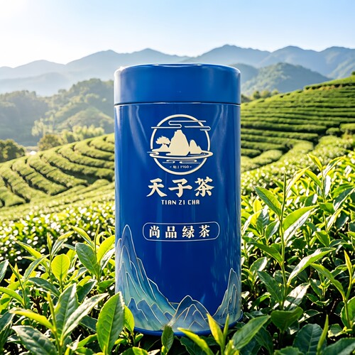 天子茶罗定特产茶叶一级茶250克