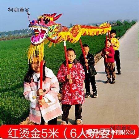 舞龙道具布龙龙头儿童龙灯道具整套舞狮耍龙幼儿园小学生舞麦太保