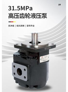 金佳液压JHP2高压齿轮泵 装载机压路机用 小体积低噪音油泵