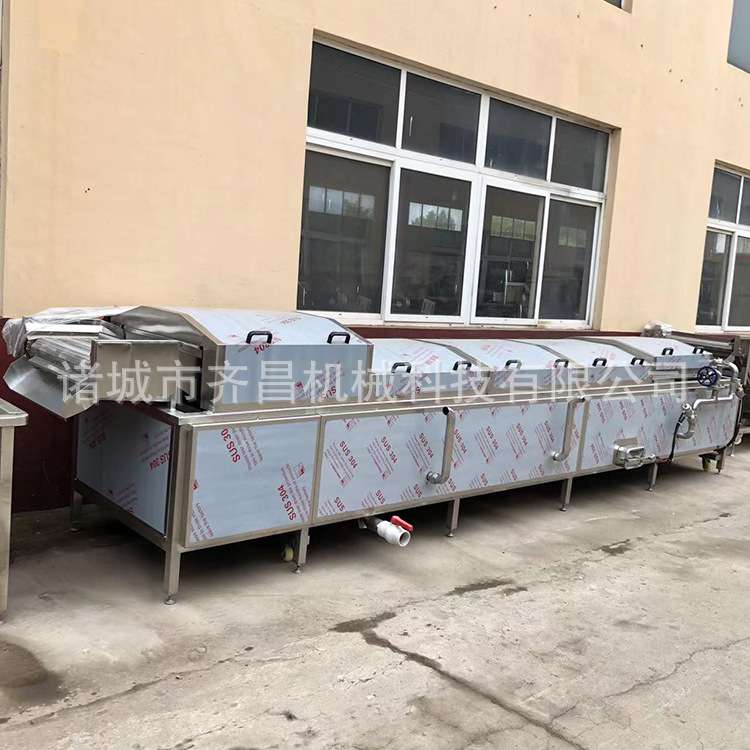自动控温漂烫线 琥珀核桃仁预处理漂烫机 大枣坚果仁蒸煮漂烫设备