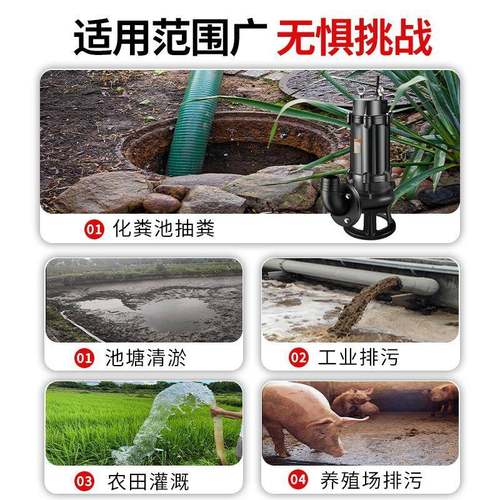 名水泵潜水排污38YPP0V抽粪泵泥磊浆污地下室潜水泵化粪池220V排
