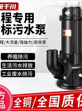 WQ系列污水泵浆无品牌/380三相抽粪泥无堵塞地下v室水坑提升集潜