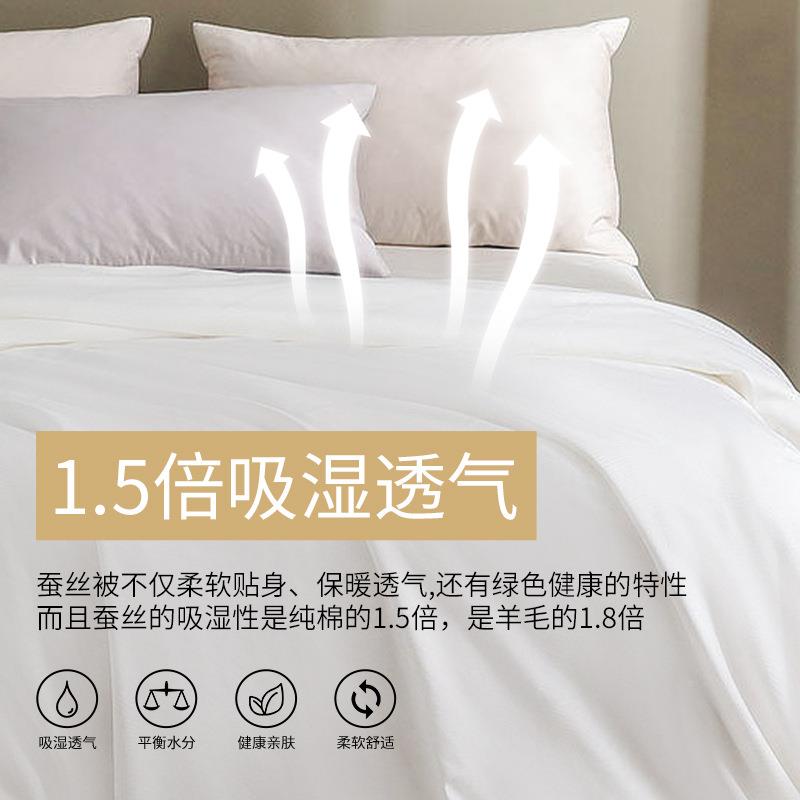 高端优质二合一子被蚕手工1母00蚕丝被芯KRZ丝被子传桑丝公主