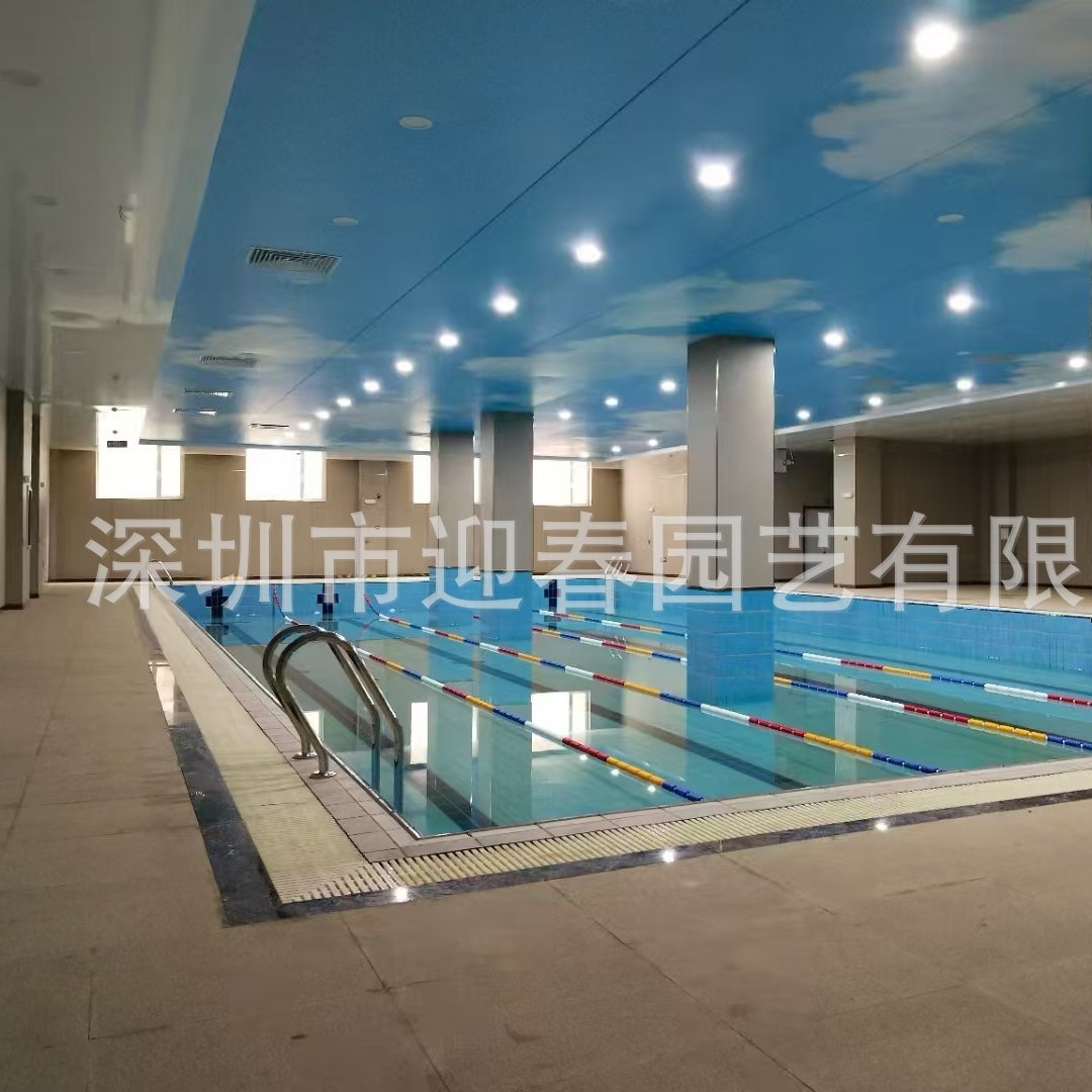 大型水上冲浪泳池造浪水上训练基地水域设备生产施工安装源头厂家