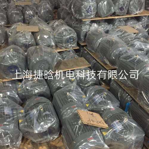 S.Y群策C05-63BO内插式油泵电机PV2R配套液压系统用电动机