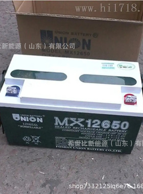 UNION友联蓄电池JMX122000移动联通电信机房UPS电源12V200AH现货