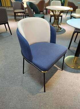 TNYL806意式简约轻奢创意舒适靠背椅金属小户型家用餐椅现代简约