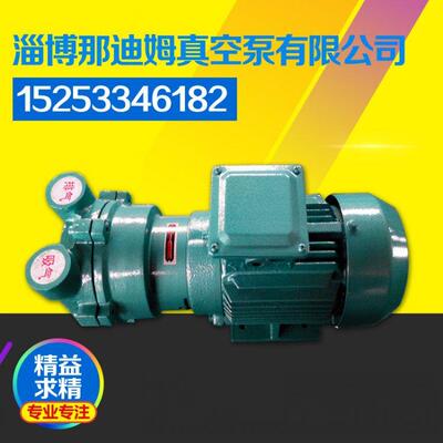 山东真空泵厂家专业供应2BV2061(1.45KW)水环式真空泵 水环真空泵