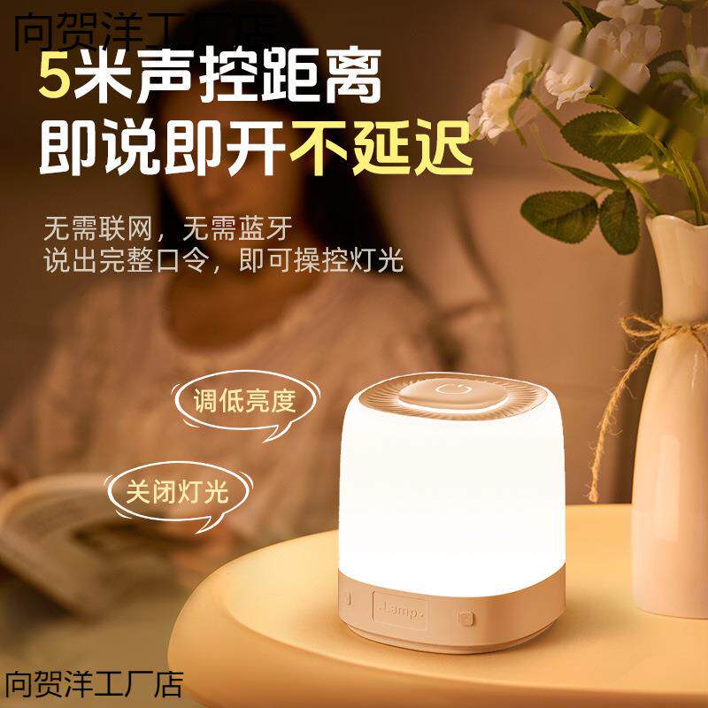 智能语音灯小夜灯声控感应卧室床头睡眠夜晚睡觉伴睡定时款台灯起