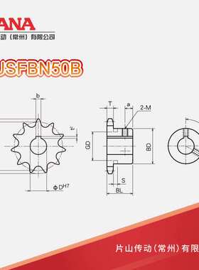 SUSFBN50B 齿数：21~26, 28, 30, 32, 35 不锈钢成品孔链轮