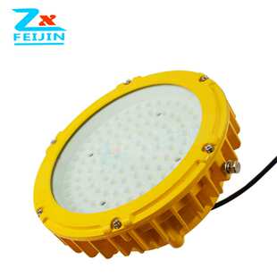 化工厂车间照明投光灯加油站圆形LED防爆灯50W100W150W防爆泛光灯
