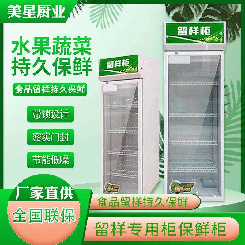 冷藏保鲜幼儿园食品留样柜带锁餐厅食堂家用小冰箱商用展示留样柜
