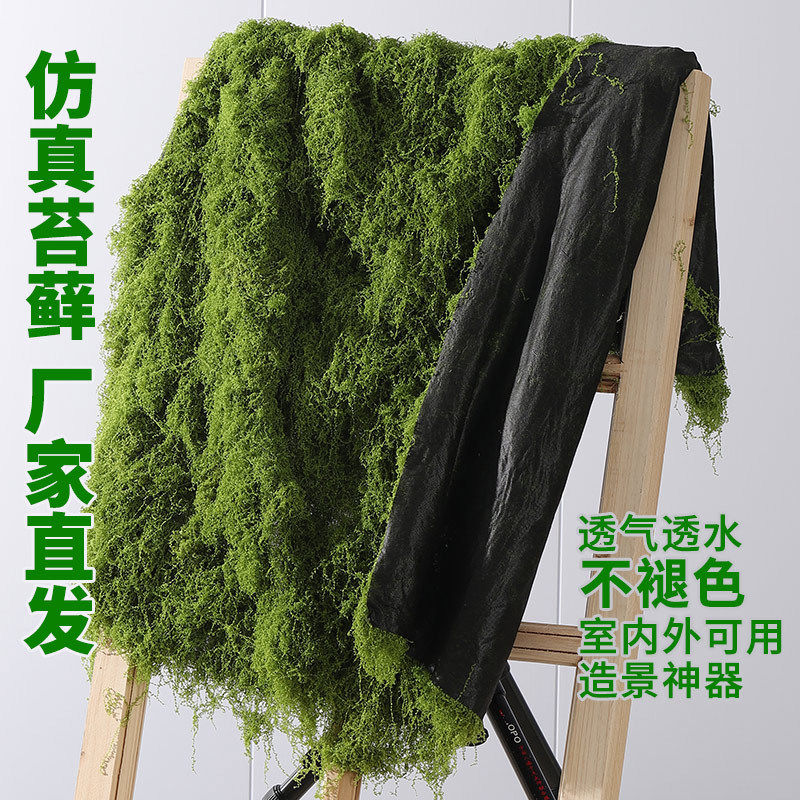 苔藓草皮造景假青苔绿植墙面草坪庭院橱窗装饰场景布置微景观