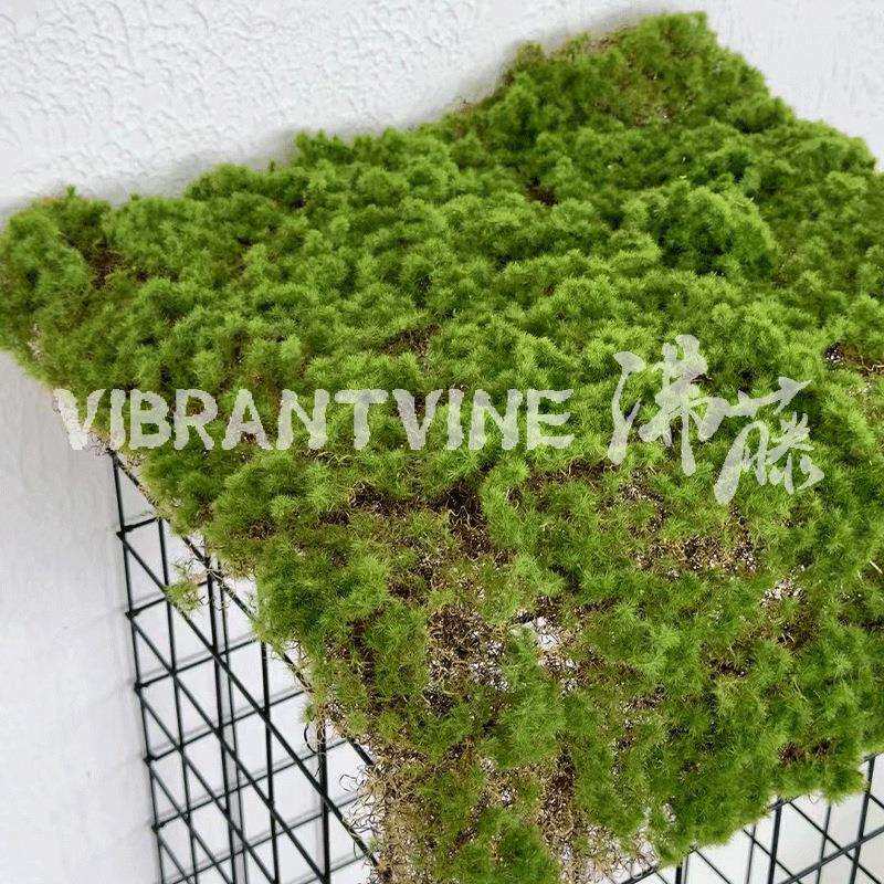 仿真绿植青苔藓皮青苔坪橱窗软装苔藓绿地墙面植物墙装饰人造草坪