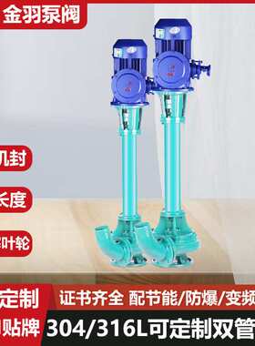 NL80-12单管双管液下泥浆泵 切割型无堵塞排污泵 池塘淤泥输送泵