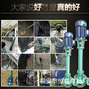 单相220伏污水泵 2.2KW排污泵 无堵塞立式液下泥浆泵 泥浆污水泵