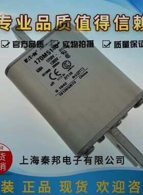 销售[170M3818][170M5813]巴斯曼熔断器