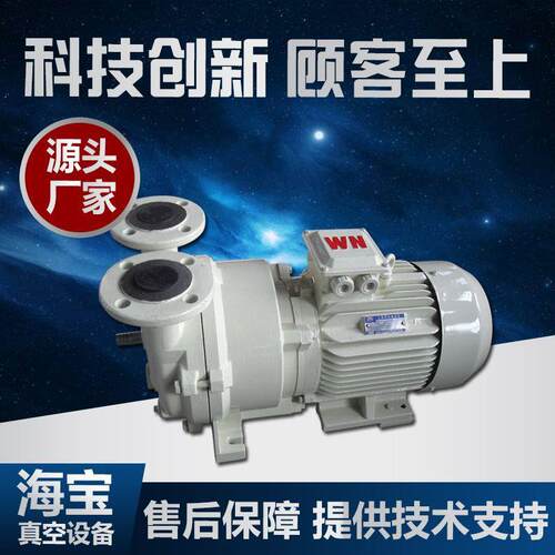 2BV系列水环式真空泵