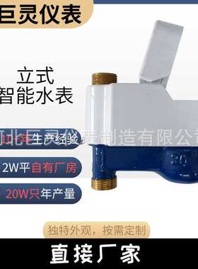 立式远传水表 RS485/MBus输出nbiot/LoRa无线远传均可 上进水下出