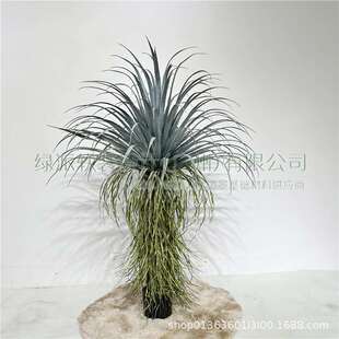 仿真带领兰丝老款盆栽龙血铁造景假植物室内外景观树橱窗室内绿植