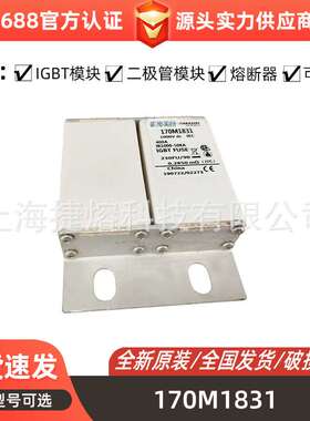 170M1831 170M1842 170M1843 快速熔断器 电子元器件标准封装现货