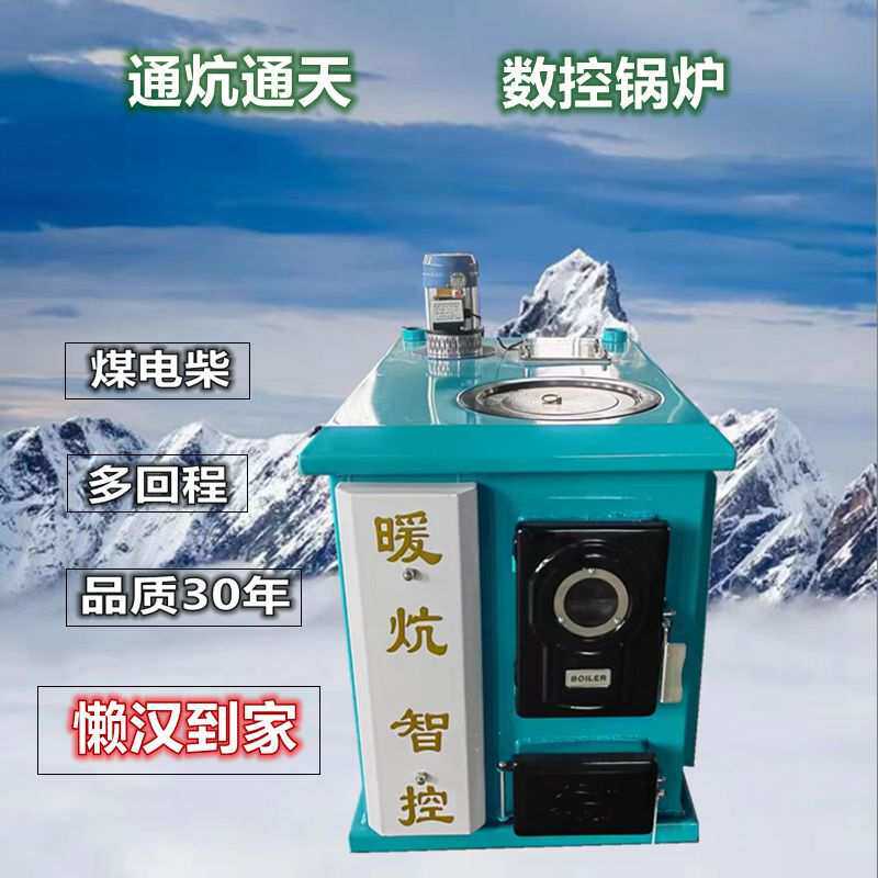 东北专用插炕数控锅炉燃煤家用水暖炉农村通炕环保反烧做饭地暖炉