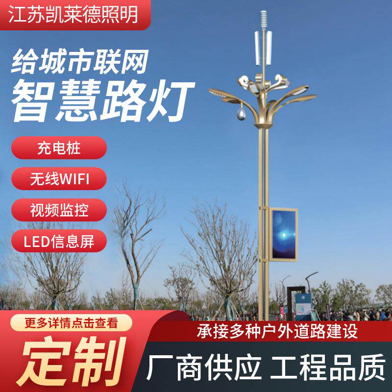 城市道路照明灯LED智慧路灯监控照明一体化路灯市政广场户外灯