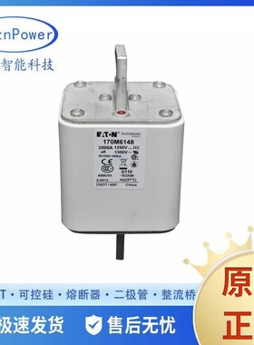 高压跌断式熔断器 170M6148 170M6198 170M6151 170M6199