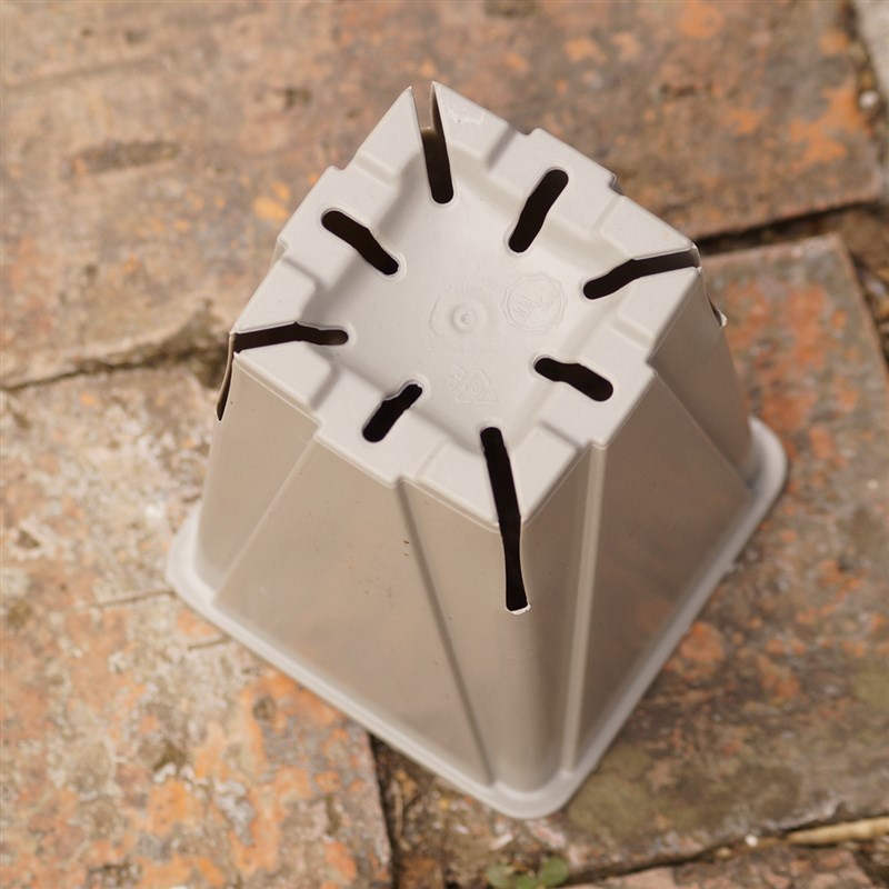 (整箱)灰白色9公分14公分育苗盆小方盆控根盆苗圃用盆多肉盆