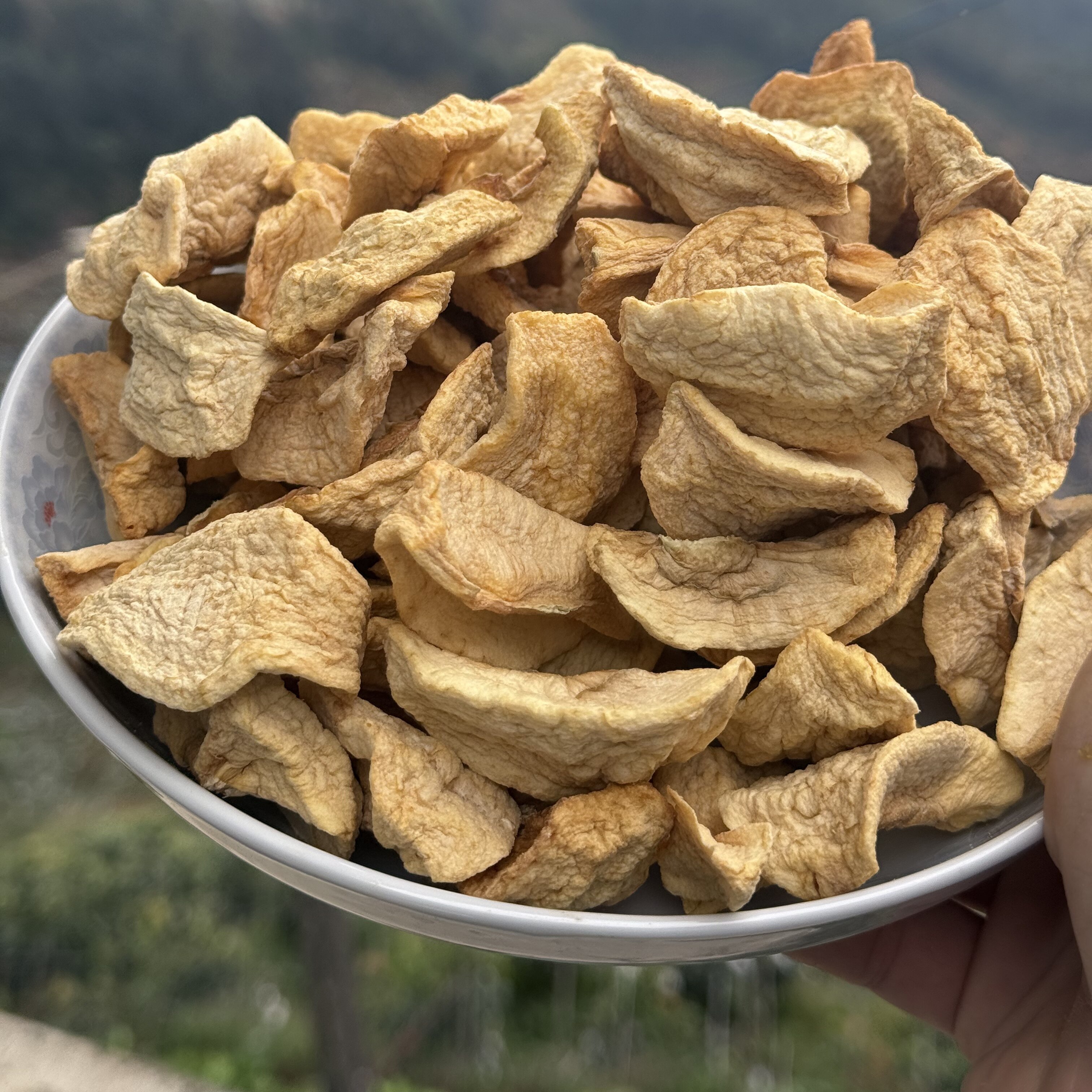 攀枝花唐四果果原味苹果干块未添加蔗糖烘水果干办公零食特产厚切