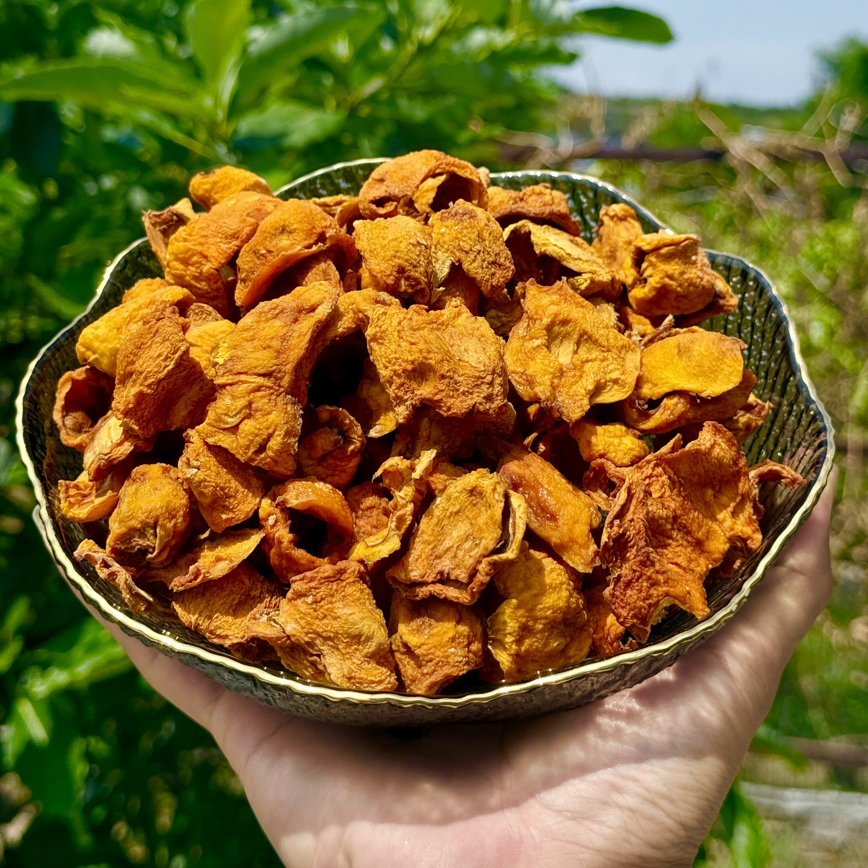 攀枝花原味枇杷干去皮泡茶图片