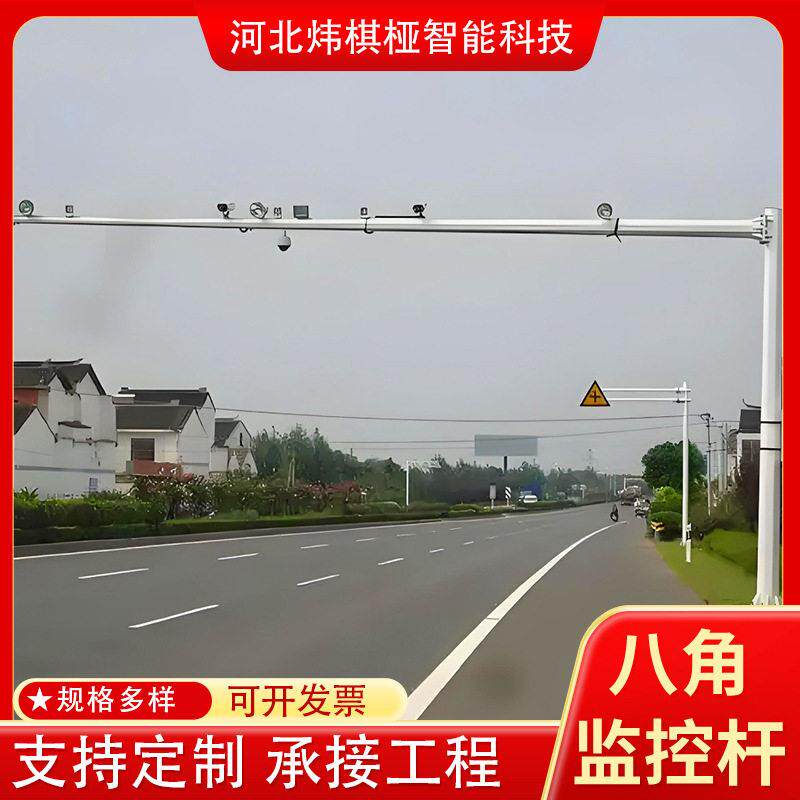 道路监控立杆八角杆悬臂F杆4-10米锌钢草坪护栏市政摄像头立杆