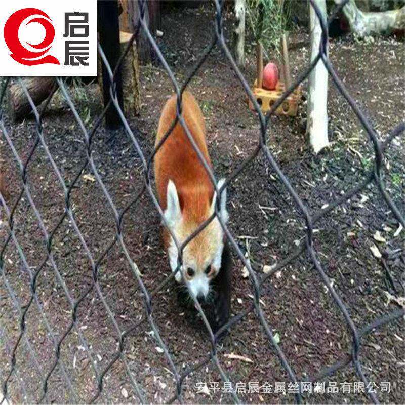 不锈钢绳网动物园编织防护网装饰网卡扣网钢丝绳网304钢丝网
