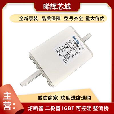 170M5146170M5147器型号齐全标准封装现货压快速熔断