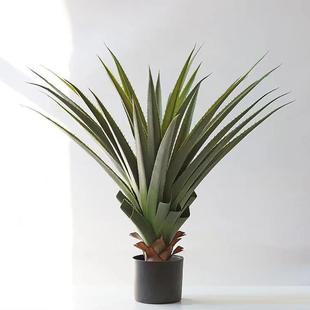 仿真植物龙舌兰剑兰盆栽室内客厅摆件落地大型绿植服装店装饰假树