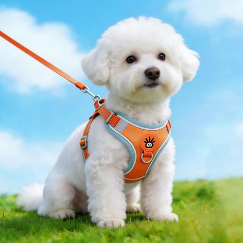 狗牵引绳中小型犬胸背带泰迪博美狗绳遛狗绳宠物小狗狗牵引绳背心
