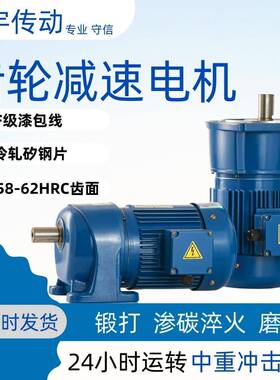 G3LM18/小型齿轮减速电机100W-200WG3FM减速机齿轮减速机