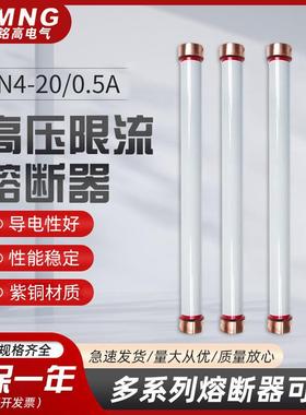 RN2(RN4)-24/0.5A户内高压熔断器出口PT保险管20/0.5A/55*410MMM