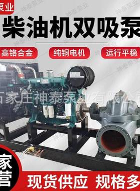 生产高扬程大流量双吸泵10Sh-13卧式双吸离心泵双吸中开泵