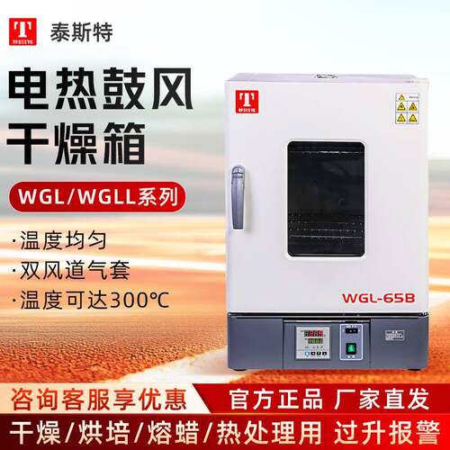 天津泰斯特WGL65B/WGLL65BE系列烘箱300度电热恒温鼓风干燥箱